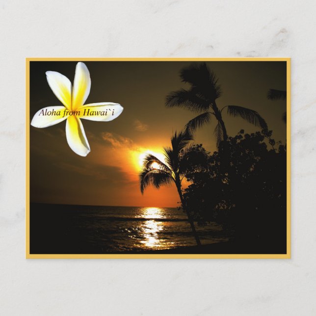 Postal Aloha de Hawaii Plumeria Sunset (Anverso)