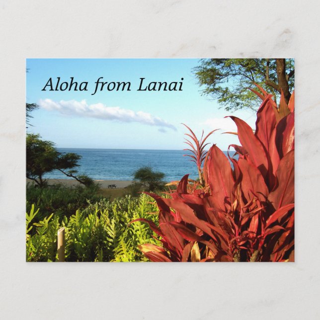 Postal Aloha de Lanai Hawaii (Anverso)