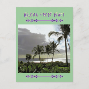 Postal "ALOHA DE MAUI" Palmeras POST CARD