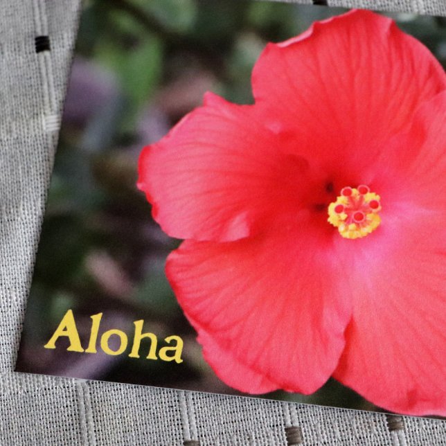 Postal Aloha desde Hawái Vacaciones hawaianas             (Subido por el creador)