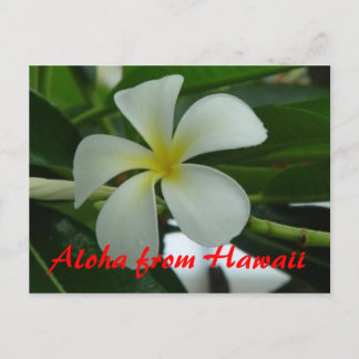Postal Aloha desde Hawaii