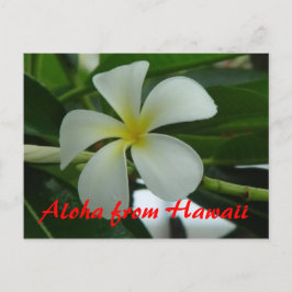 Postal Aloha desde Hawaii