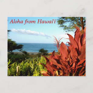 Postal Aloha desde Hawaii