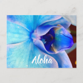 Postal Aloha en azul
