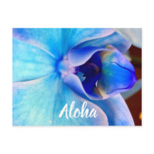 Aloha en azul
