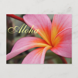 Postal Aloha Flor de Frangipani Hawaiano Plumerias