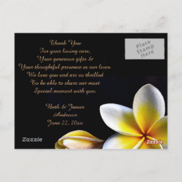 Postal Aloha Hawaiian Frangipani Luau Gracias Cartas