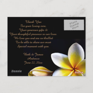 Postal Aloha Hawaiian Frangipani Luau Gracias Cartas