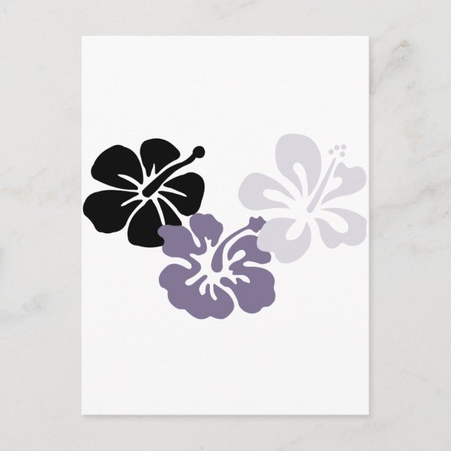 Postal aloha mahalo hibiscus gris (Anverso)