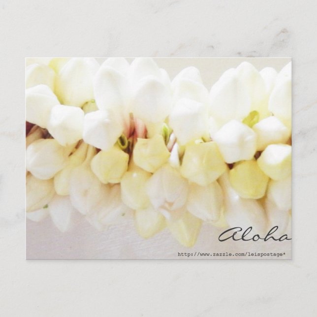 Postal Aloha y Mahalo Postcard (Anverso)