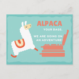 Postal Alpaca Blanca Divertida Viaje