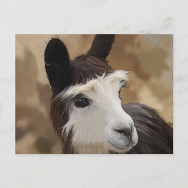 Postal Alpaca blanca y chocolate (Anverso)