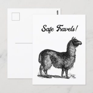 Postal Alpaca Llama Cute Peru Animal Nature Art