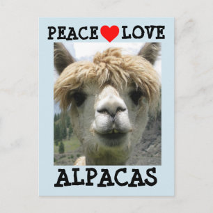 POSTAL ALPACA LOVE POSTCARDS