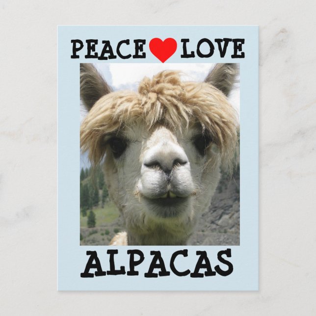 POSTAL ALPACA LOVE POSTCARDS (Anverso)
