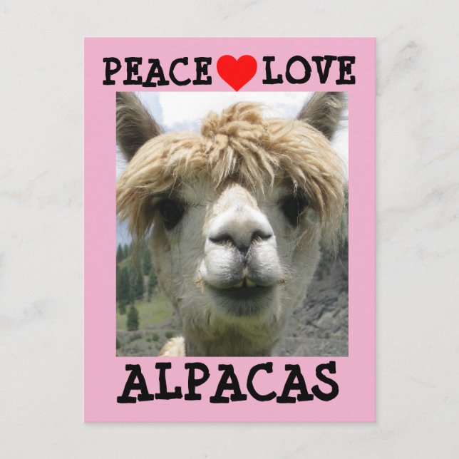 POSTAL ALPACA LOVE POSTCARDS (Anverso)