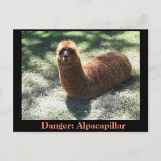 Postal Alpacapillar