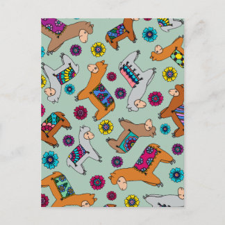 Postal Alpacas Postcard