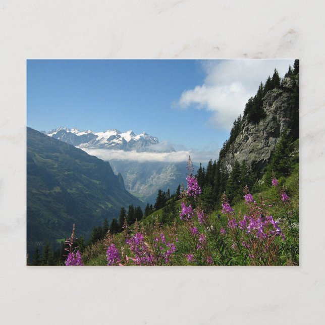 Postal Alpes - Suiza (Anverso)