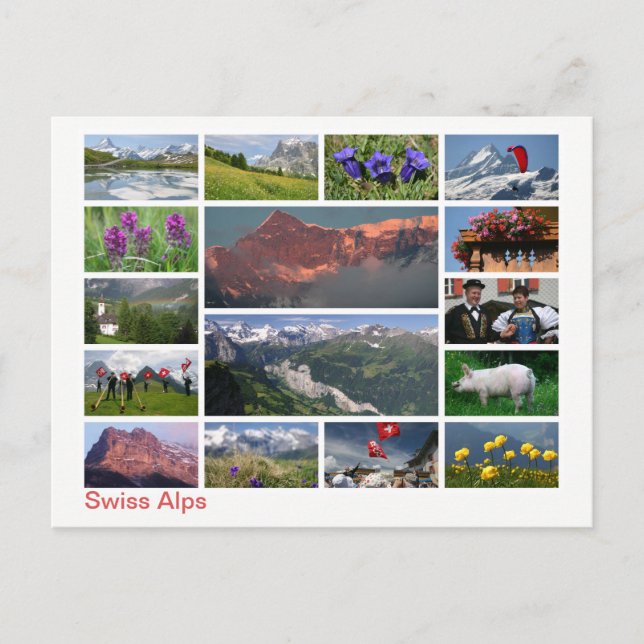 Postal Alpes suizos multiimagen (Anverso)