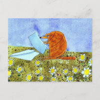 Alphabet Fiesta Armadillo