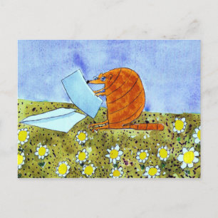 Postal Alphabet Fiesta Armadillo