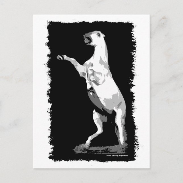 Postal Alquilar un Stallion andaluz (Anverso)