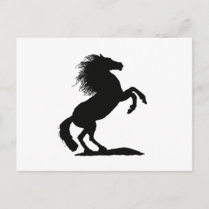 Postal Alquiler de Stallion negro -