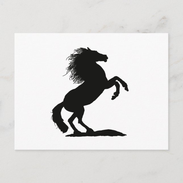 Postal Alquiler de Stallion negro - (Anverso)