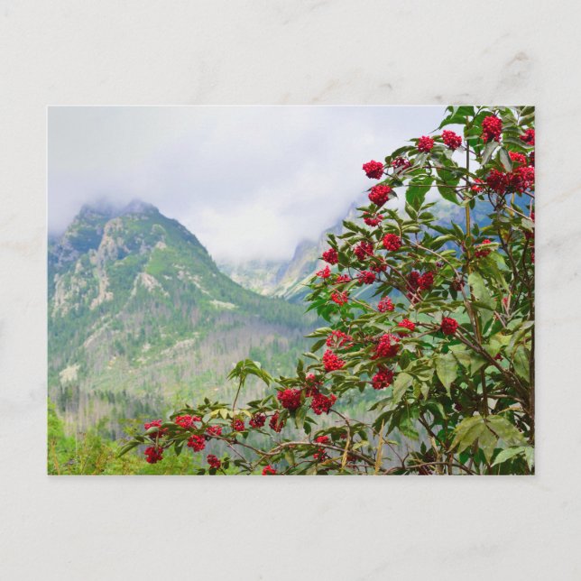 Postal Alta Eslovaquia Tatras (Anverso)