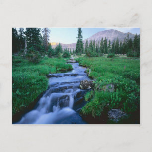 Postal ALTA SALVEDAD DE UINTAS, UTAH. Horquilla de agua e