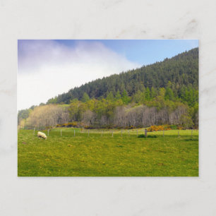 Postal Altiplano escocés