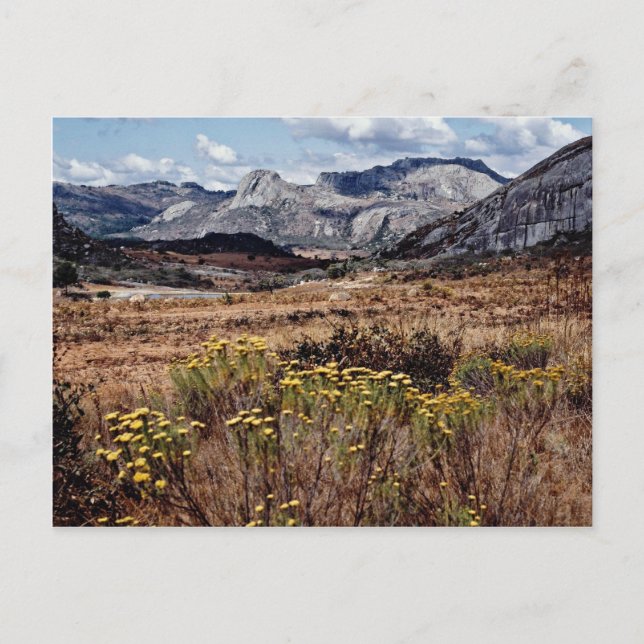 Postal Altiplano oriental, flores de Zimbabwe (Anverso)