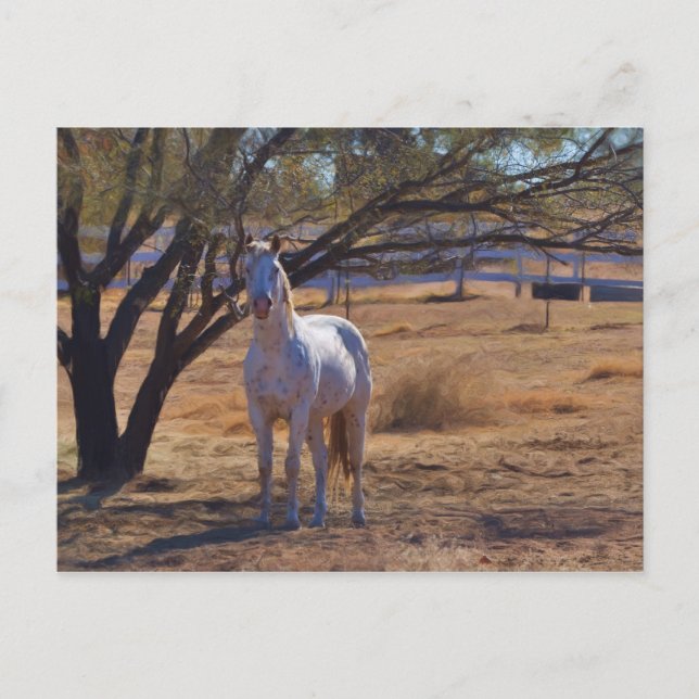 Postal Alto de pie (Anverso)