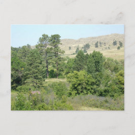 Postal Alto desierto