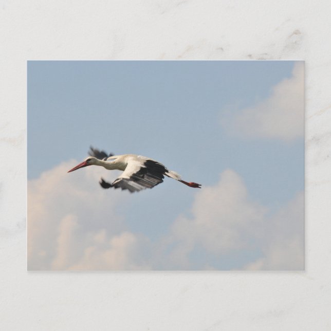 Postal Alto en el cielo (Anverso)