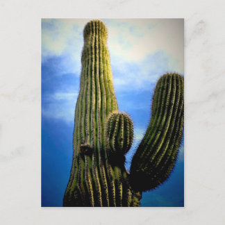 Postal Altura de Arizona Saguaro Cactus