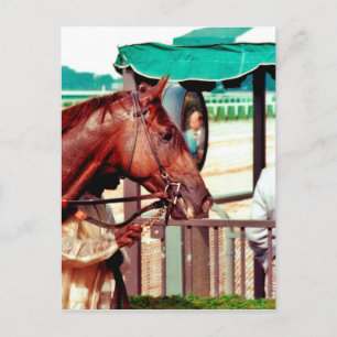 Postal Alydar Thoroughbred 1979