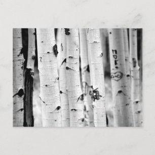 Postal Alzar el Aspen