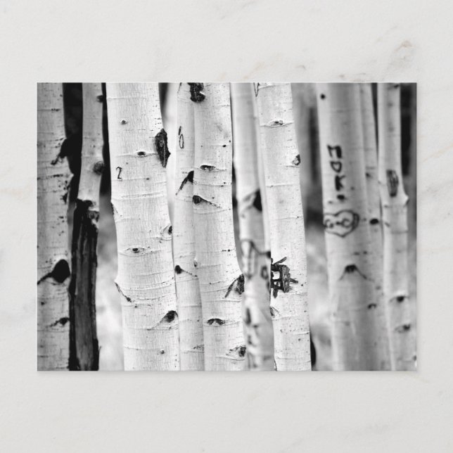 Postal Alzar el Aspen (Anverso)
