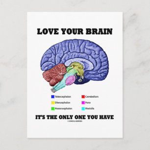 Postal Ama tu cerebro es el único que tienes (cerebro)