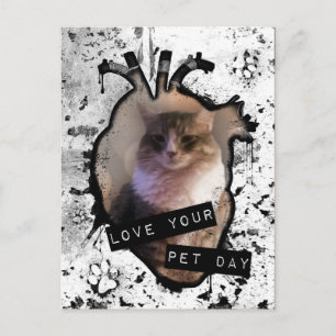 Postal Ama tu día de mascota
