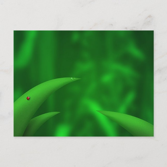 Postal ¡Amando a los Verdes! (Anverso)