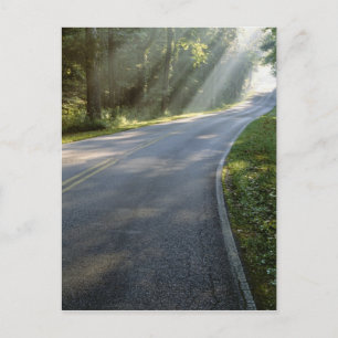 Postal Amanecer a través de la niebla junto al río Verde