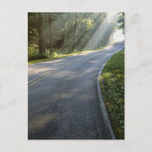 Postal Amanecer a través de la niebla junto al río Verde (Anverso)