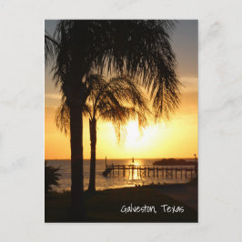 Postal Amanecer de árbol de palmas