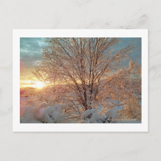 Postal Amanecer de invierno