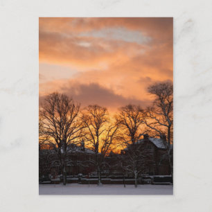 Postal Amanecer del invierno