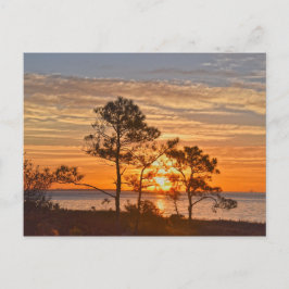 Postal Amanecer del Refugio de la Isla Dauphin, Alabama