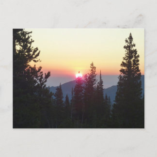 Postal Amanecer en el bosque en la montaña Rocky